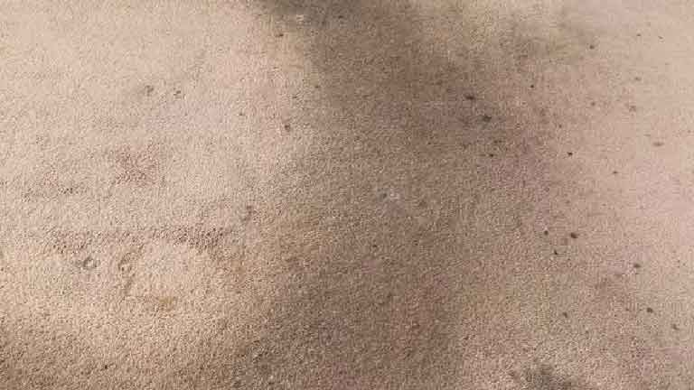 Quy trình giặt thảm tại Trung Hiếu Clean