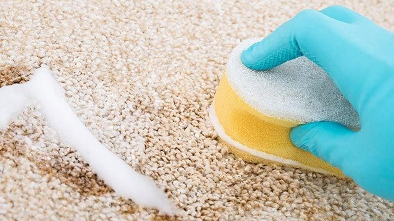 Cách xử lý vết bẩn trên thảm hiệu quả nhanh và dễ làm