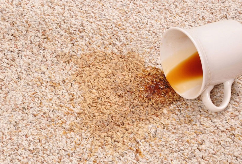 Cách xử lý vết bẩn trên thảm hiệu quả nhanh và dễ làm