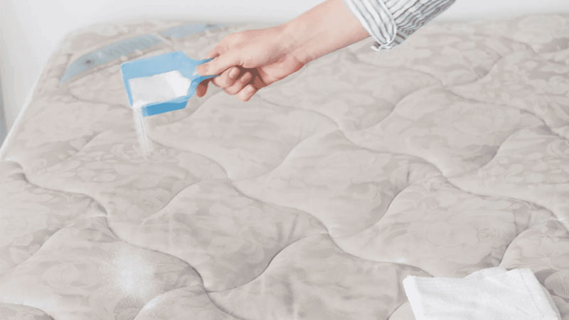 Mách bạn mẹo làm sạch đệm không cần giặt