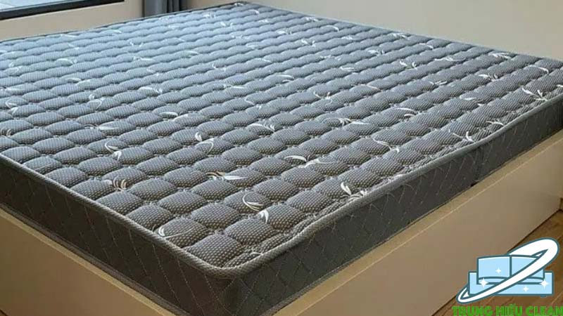 Limosa chuyên làm sạch đệm Hà Đông