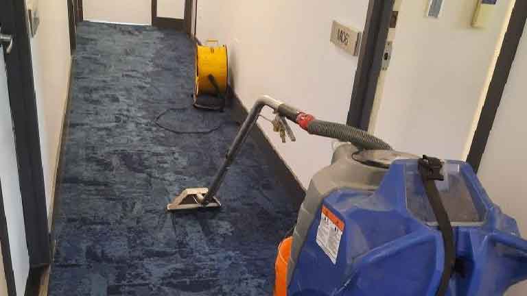 Dịch vụ giặt thảm văn phòng giá rẻ uy tín