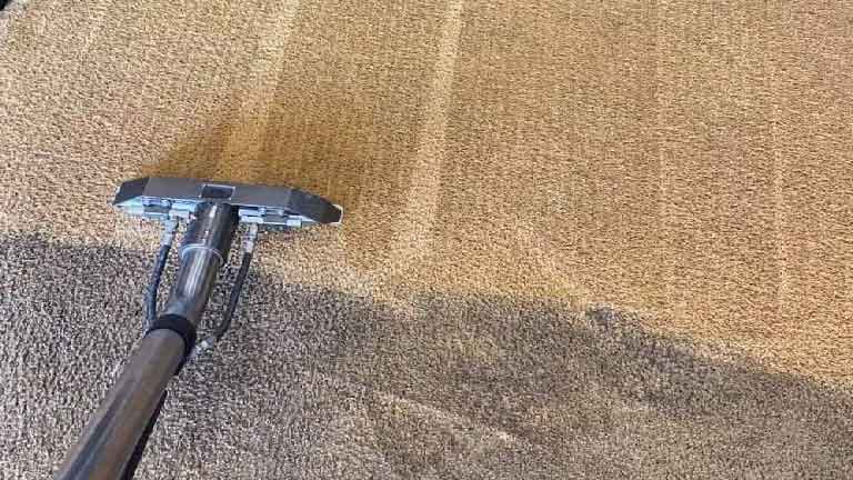 Tại sao chọn Trung Hiếu Clean là đơn vị giặt thảm văn phòng Hà Nội
